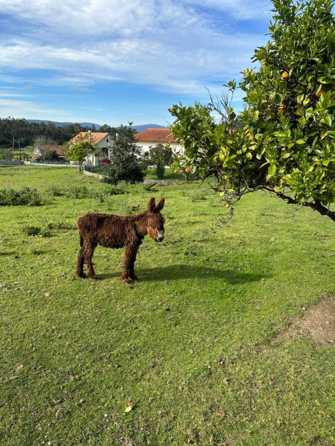 Quintinha Do Martins Apartman Reboreda Kültér fotó