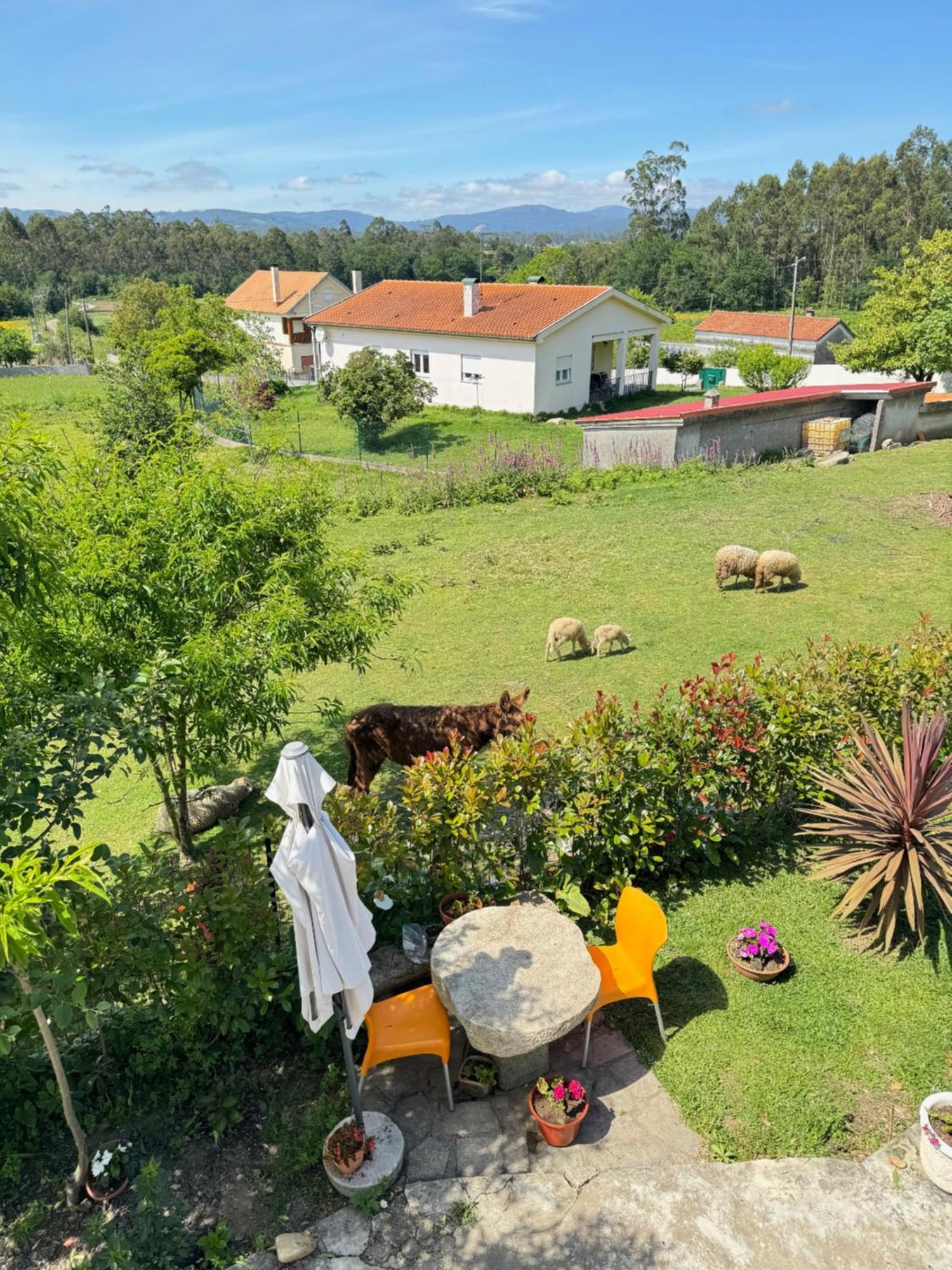 Quintinha Do Martins Apartman Reboreda Kültér fotó